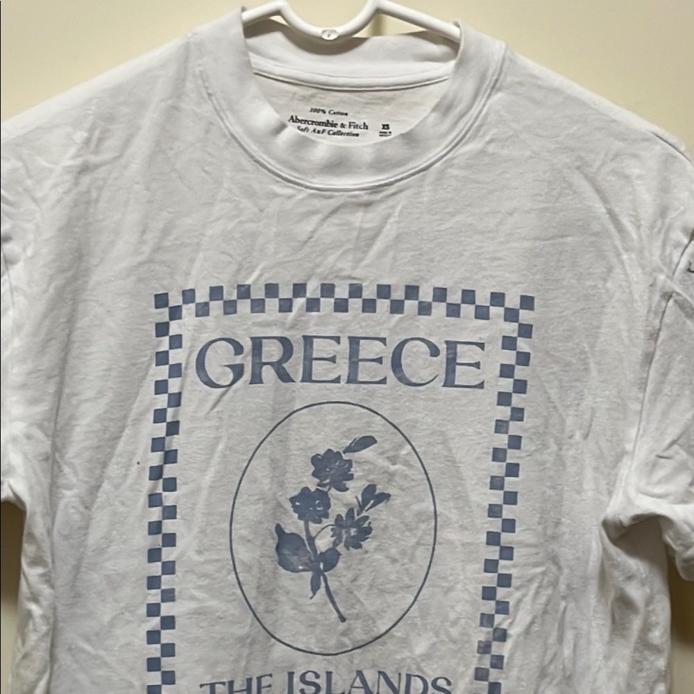 Abercrombie & Fitch Blue and White Short Sleeve Tee